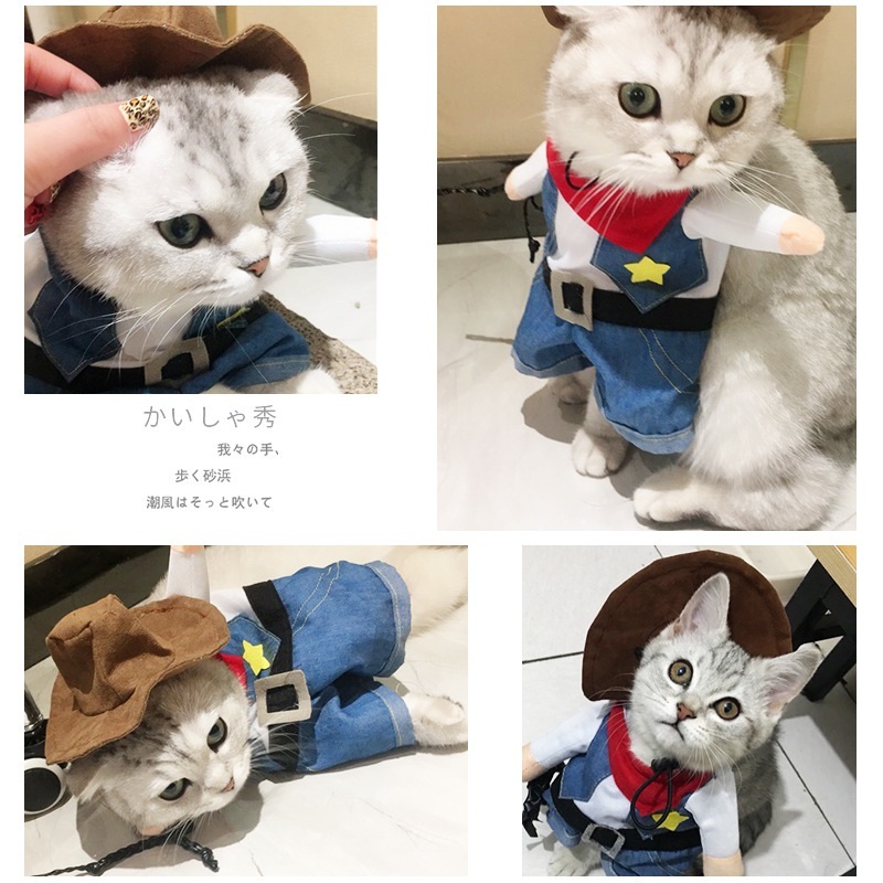 펫 찍지마! 처키 코스튬 코스프레 강아지 고양이 의상 처키 옷 - 상세 이미지 4