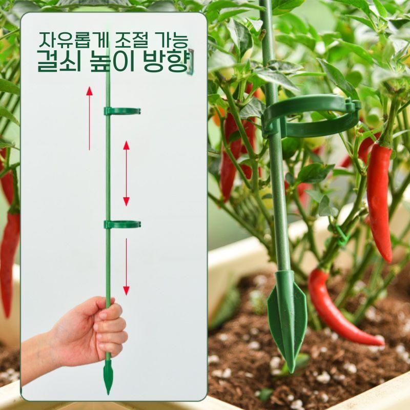 고추 가지 지주대 오이 수박 지지대 텃밭 주말농장 60cm 5개 유리섬유 - 상세 이미지 3