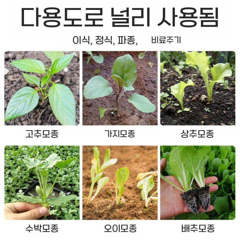 고추 모종이식기 감자 옥수수 종자 심는 기계 A 한손 모종기(내경 25cm) - 상세 이미지 4