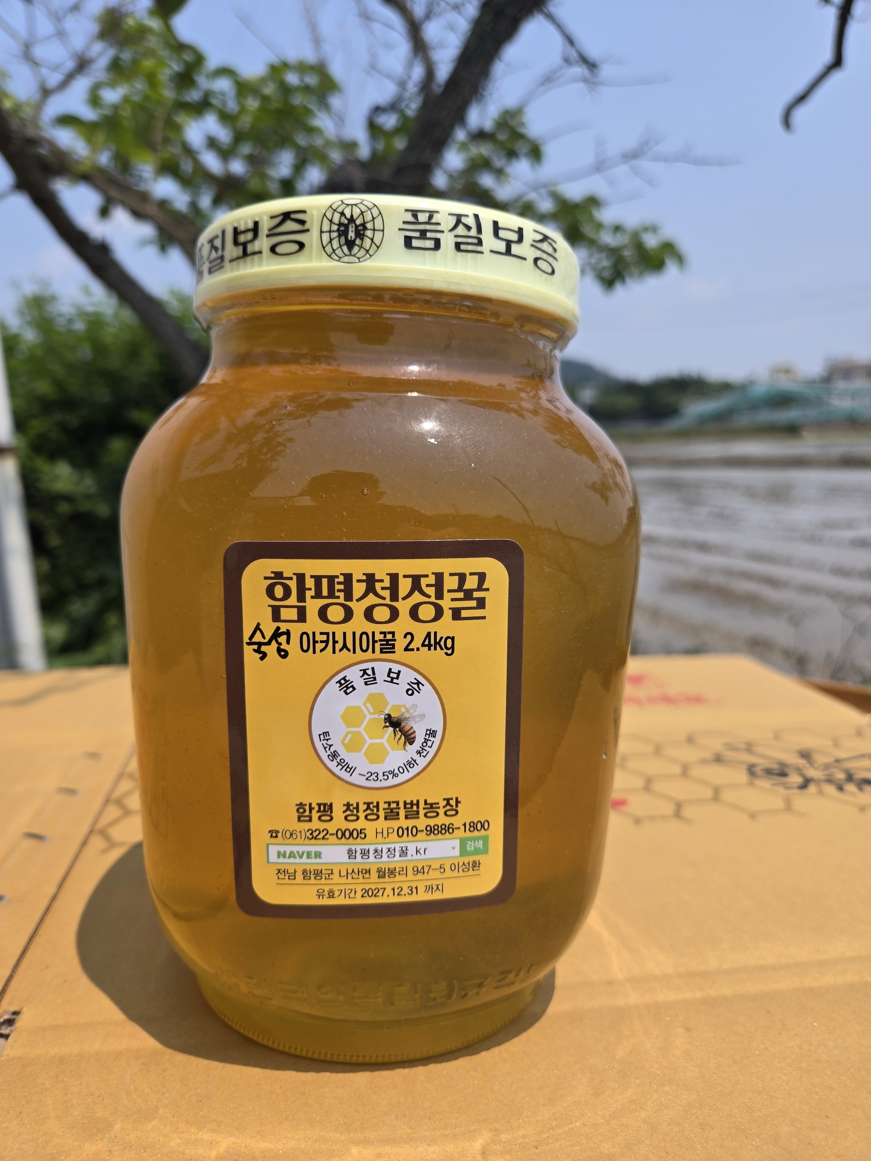 함평청정 프리미엄 자연 숙성 아카시아 완전숙성 벌꿀 완숙꿀 유리병 2.4kg - 상품 이미지