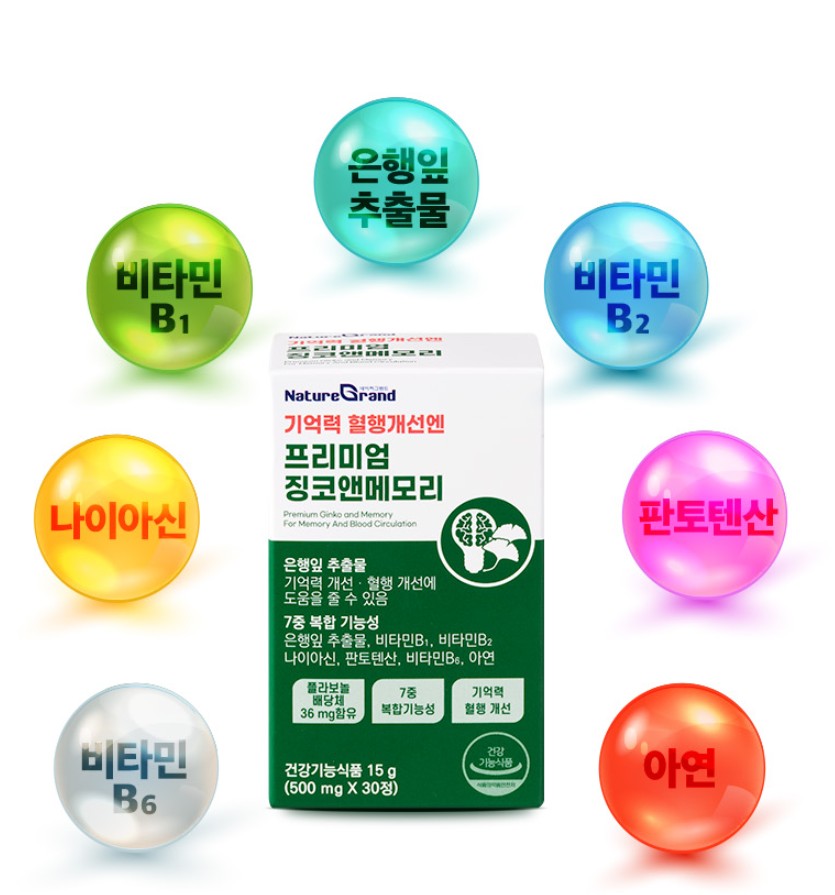 네이처그랜드 프리미엄 징코 앤 메모리 은행잎추출물 두뇌 은행엽엑스 약1달 30정, 5개 - 상세 이미지 5