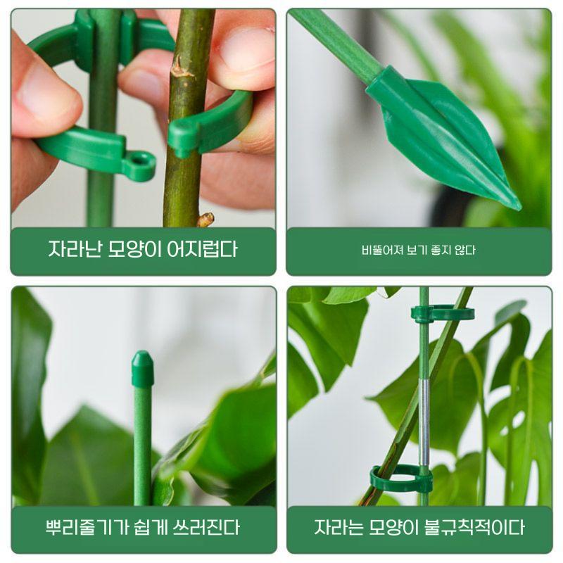 방울토마토지지대 토마토 오이 식물 지주대 60cm 3개 6버클 - 상세 이미지 4