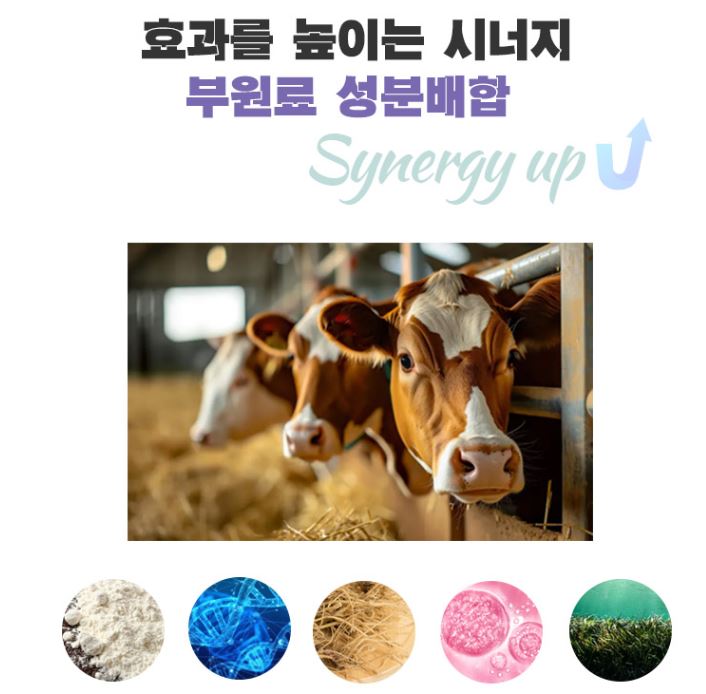 관절엔 닥터린 콘드로이친 1200 철갑상어 뮤코다당단백 30정, 1개 이미지 6