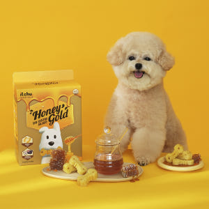 강아지 양치껌 허니골드 34P 덴탈껌 치석제거 소프트 잇츄 핏펫 솔직 후기 | 실제 사용자 리뷰 총정리 - 상품 이미지 4