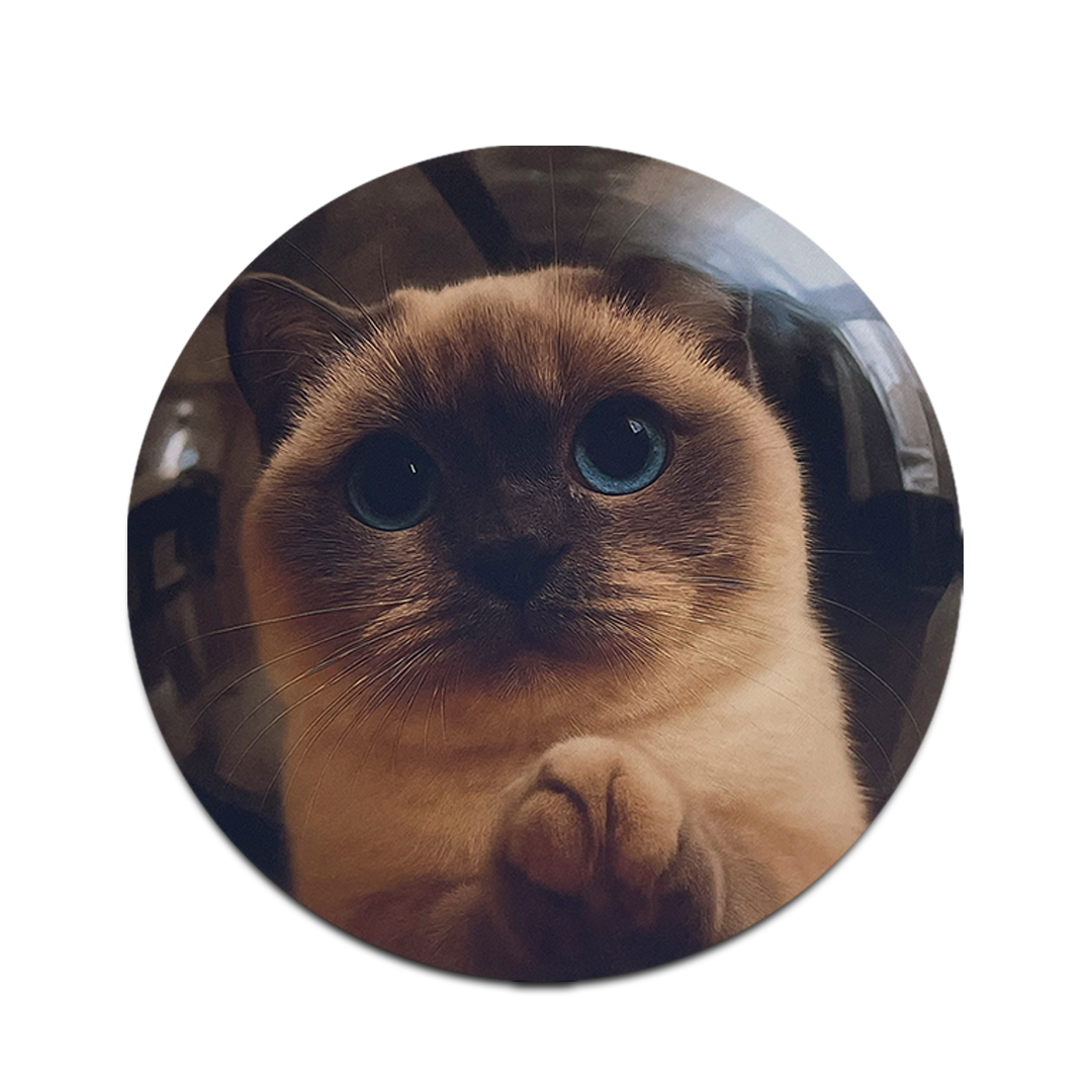 고양이 마우스패드 데스크테리어 반려동물굿즈 소품 감성 책상매트 Siamese Gaze - 상품 이미지