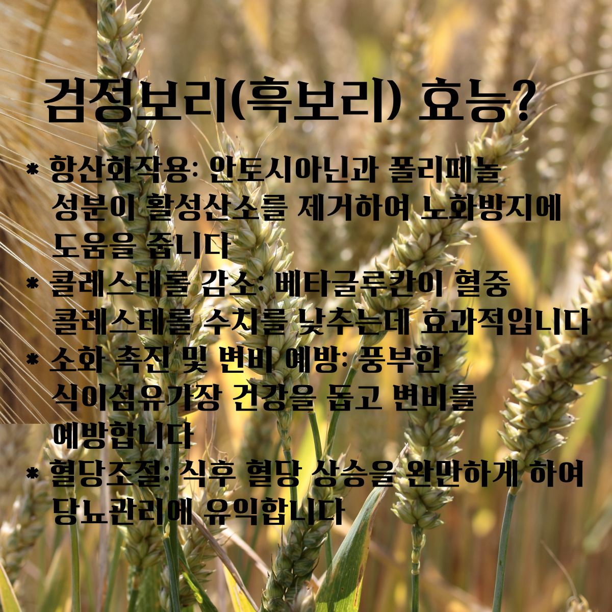 26년산 국산 늘찬팜 흑보리 800g 혼합세트 찰보리 압맥 늘보리 할맥 보리쌀 잡곡 - 상세 이미지 5