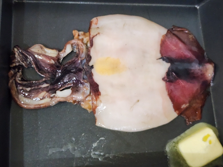 동해가공 피데기 반건조오징어 10마리 900g 초코오징어 이미지 6