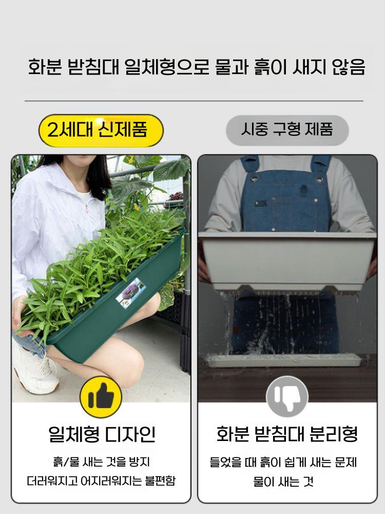 직사각 플라스틱 화분 소형 플랜트박스 베란다 텃밭 올리브그린(5개) PP - 상세 이미지 4