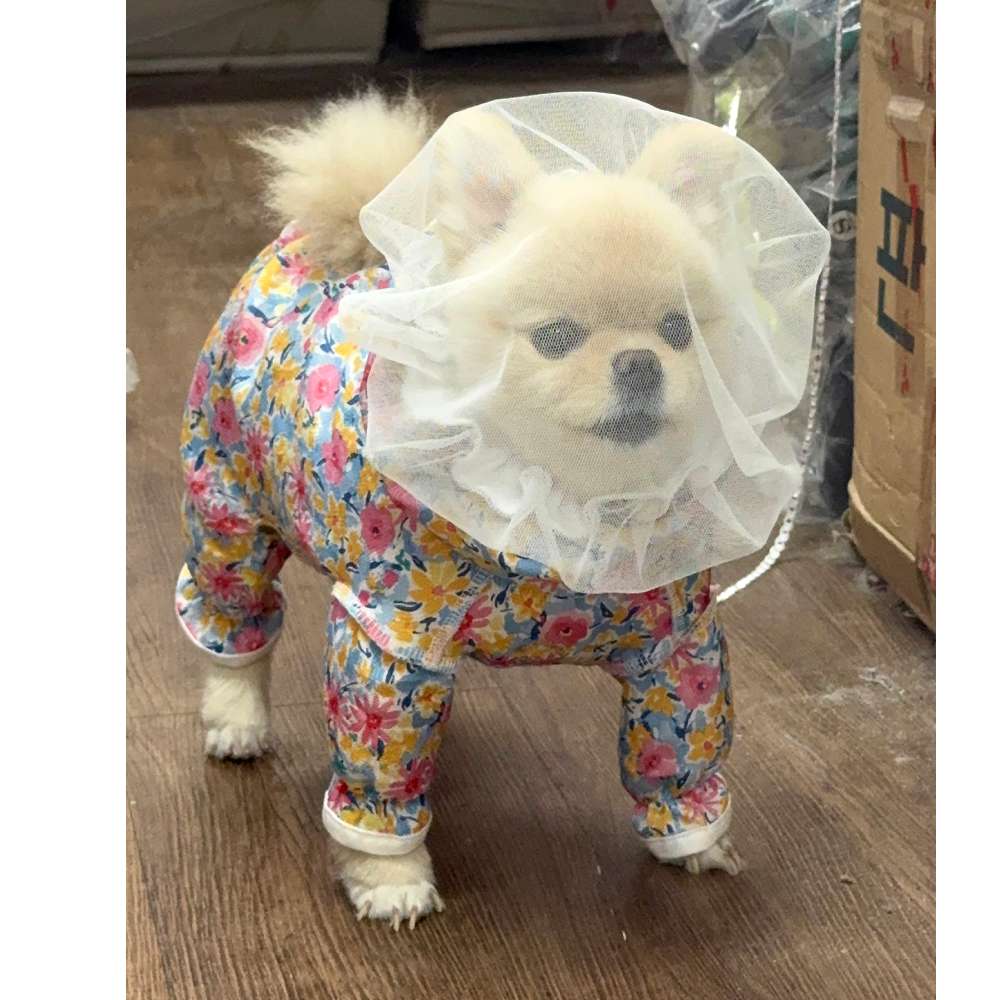 해피앤퍼피 강아지 페이스커버 버그가드 양봉모자 화이트 소 이미지 6