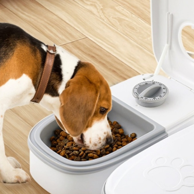 자율 배식 습식 사료 자동 급식기 고양이 습식 급식기 사료기