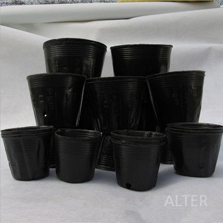 대용량 비닐포트 모종 농장 묘목 파종 분갈이 플라스틱 6.5x6.5cm (10000개) - 상세 이미지 3