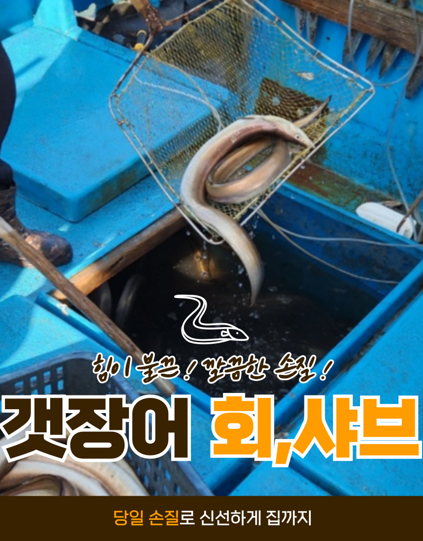 고흥 갯장어 (하모) 회 300g 샤브샤브 300g 선택 - 상세 이미지 2