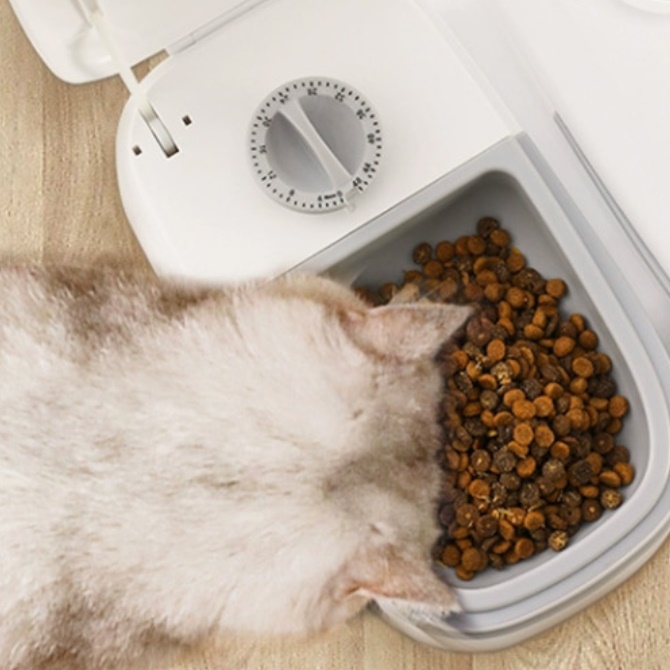 길고양이 자동 급식기 고양이 자율 급식 고양이 사료통 자동