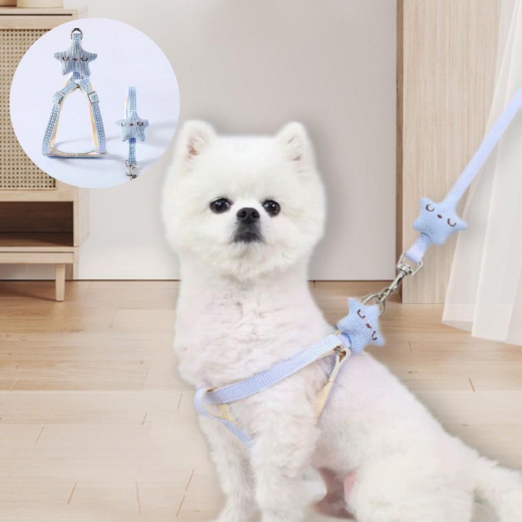 산책줄 야외산책 애견 소형견 강아지 별리드줄 중형견