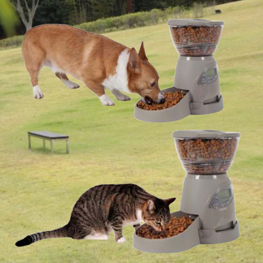 강아지 밥 주는 기계 자동 사료기 급식기 강아지 사료 기계