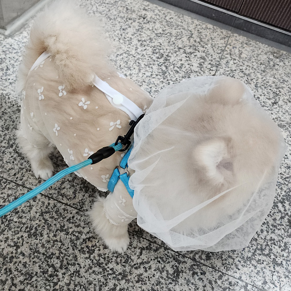 해피앤퍼피 강아지 페이스커버 버그가드 양봉모자 화이트 소 - 상세 이미지 4