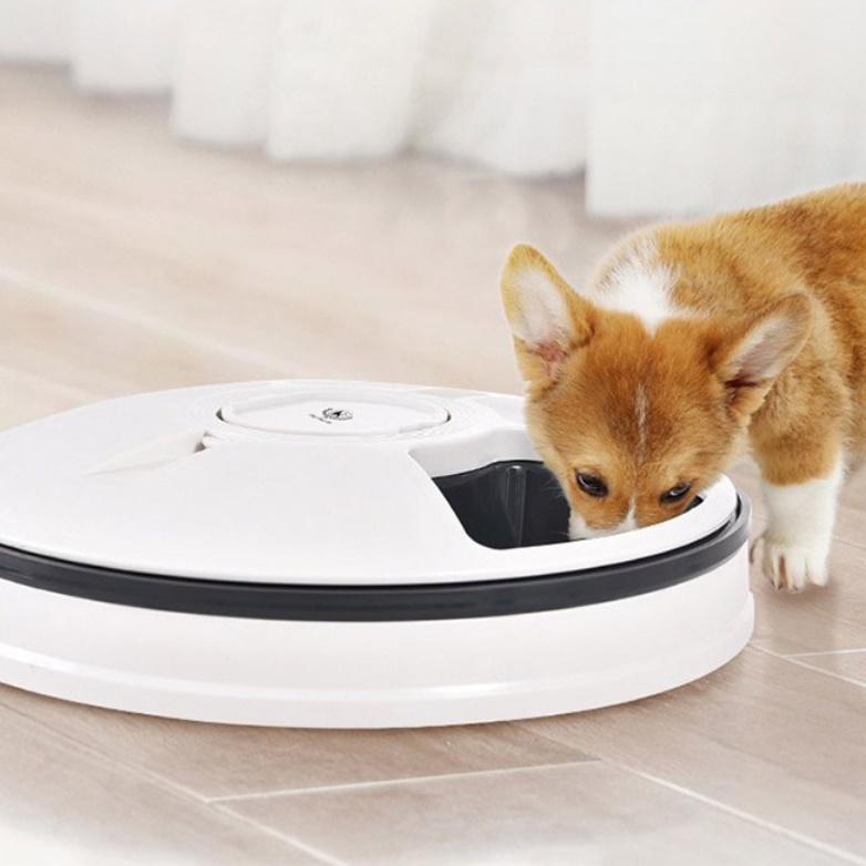 강아지 밥 주는 기계 강아지 사료 기계 자동 사료기 급식기