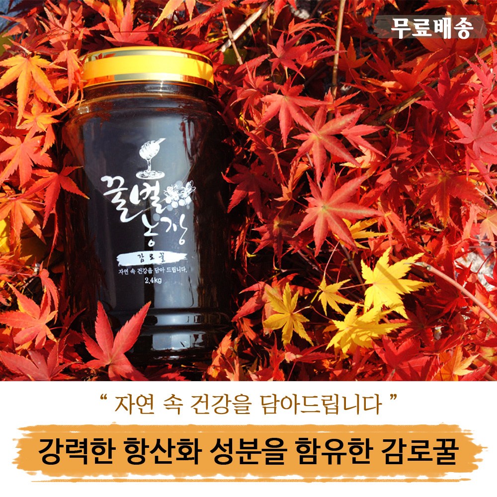 꿀벌농장 감로꿀 2.4kg 1개 : 고려디우