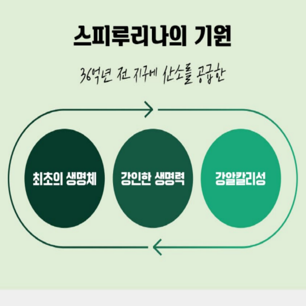 하와이안 스피루리나 피부건강 항산화 엽록소 3개월분 - 상세 이미지 5