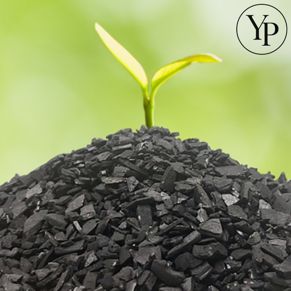 냄새제거 야자 활성탄 1kg 공기정화 새집증후군 제습 습기 에어활성탄 천연 화공석