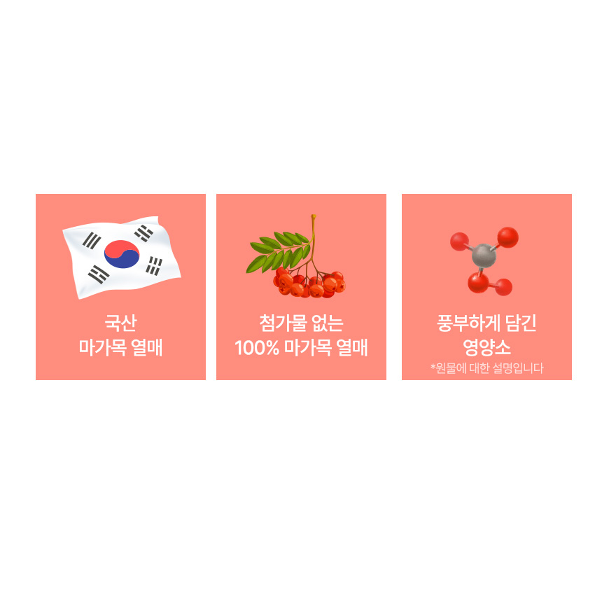 국산 마가목 열매 차 효능 파는곳 300g 1팩 마가목차 - 상세 이미지 3