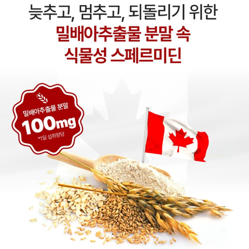 참굿즈 스페르미딘 뉴타임 정 60정 1박스 1개월 spermidine 셀레늄 아연 효능 - 상세 이미지 2