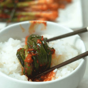 전주찬방 전국김치품평회 4회수상 국내산 파김치 1kg, 1개 맛있게 먹은 솔직 후기 - 상품 이미지 3
