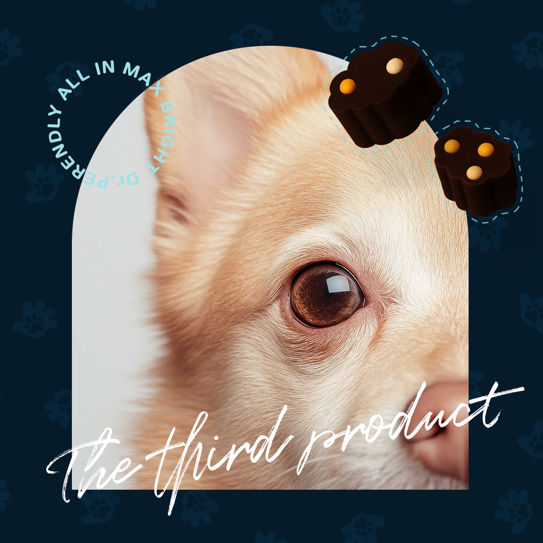 닥터페렌들리 올인맥스브라이트 강아지 눈 영양제 눈물 눈꼽 항산화 간 건강 80g, 1개