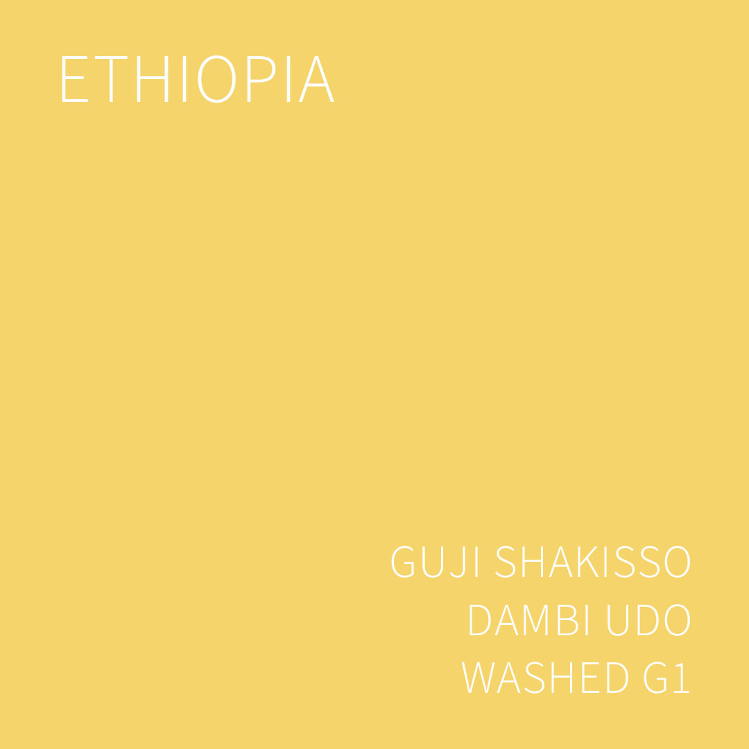 (2025 뉴크롭) 베르데 트레이드 에티오피아 구지 샤키소 담비 우도 워시드 G1 5KG (ETHIOPIA GUJI SHAKISSO DAMBI UDO WASHED)