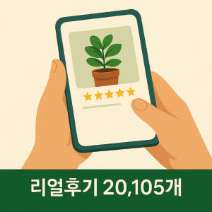 베고니아 신밧드 목베고니아 은빛식물 거실화분 실사용 후기 | 효과 있을까? - 상품 이미지 4