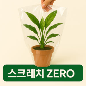 초설 넝쿨 덩굴 마삭줄 키우기 실내공기정화식물 오색마삭줄 야생화 정원식물 실사용 후기 | 효과 있을까? - 상품 이미지 3