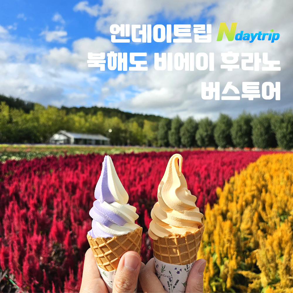 [라벤더아이스크림포함] 삿포로 비에이 후라노 버스투어 북해도 홋카이도 엔데이트립 쥰페이예약
