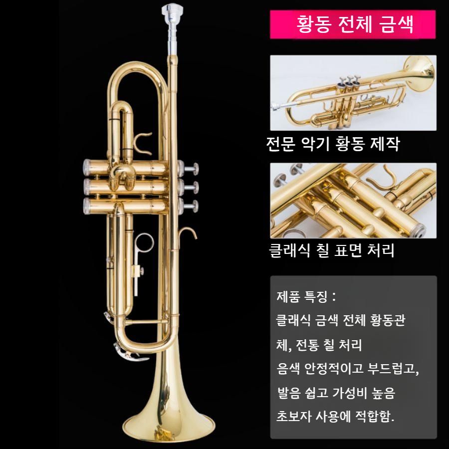 초보자 입문용 트럼펫 B플랫 연습용 금관악기 황동 트럼펫 - 상세 이미지 2