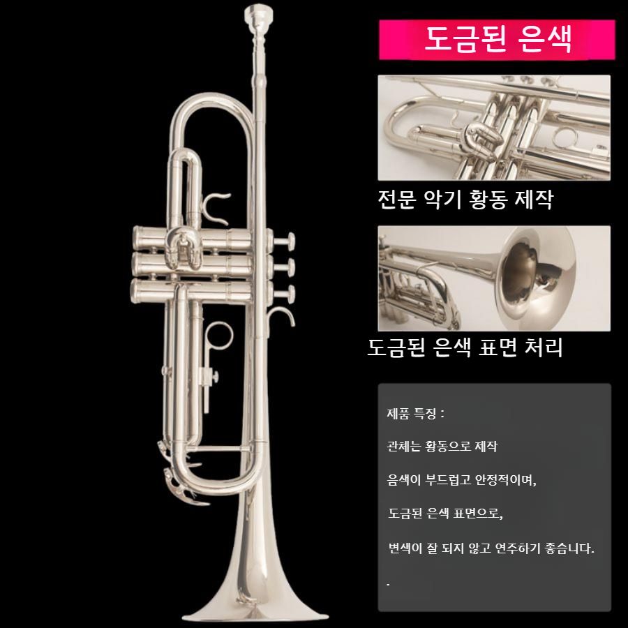 초보자 입문용 트럼펫 B플랫 연습용 금관악기 황동 트럼펫 - 상세 이미지 3
