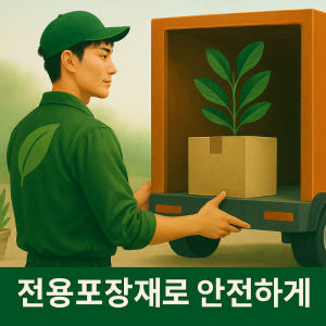 베고니아 신밧드 목베고니아 은빛식물 거실화분 실사용 후기 | 효과 있을까? - 상품 이미지 3