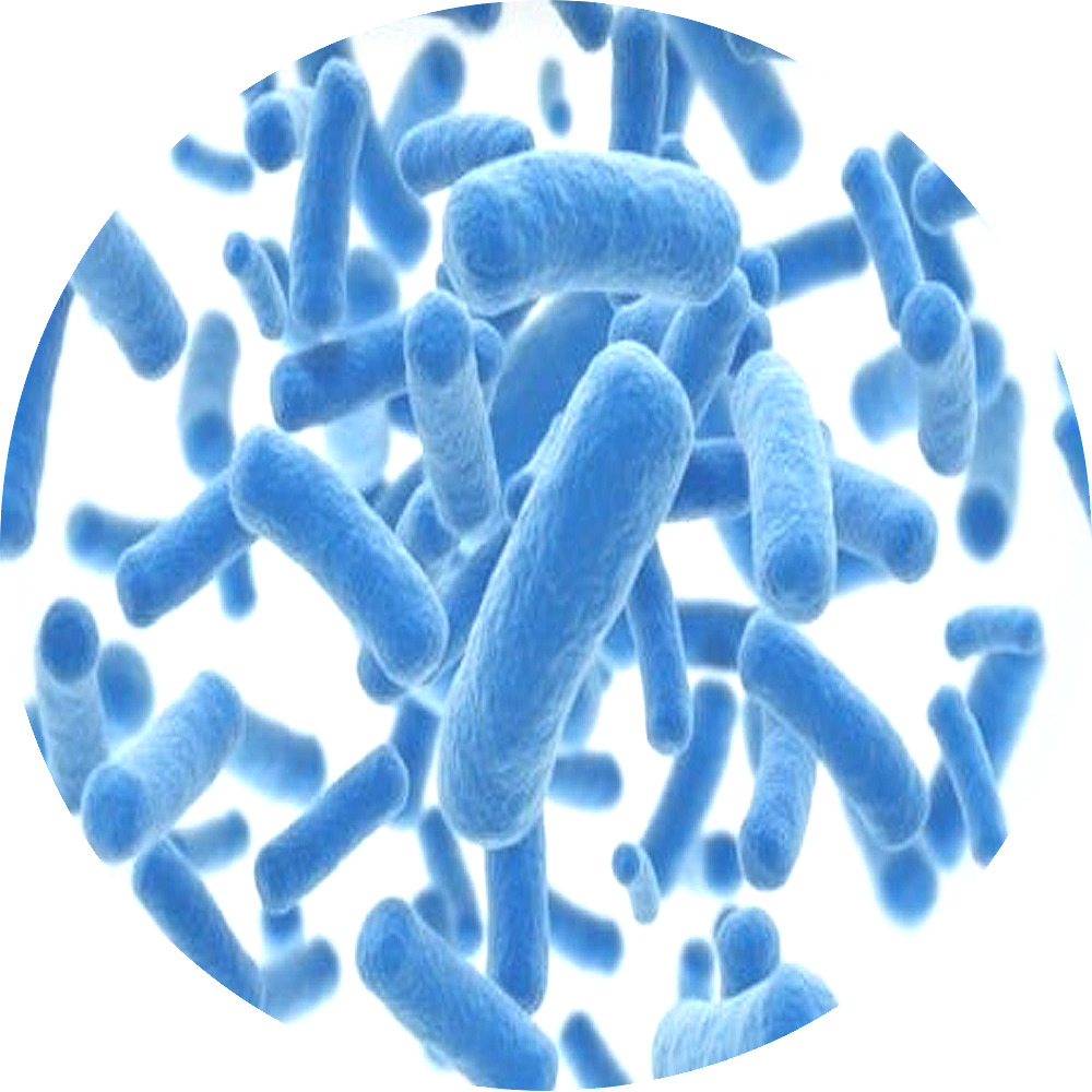 블랙홀 음식물처리기 미생물 제제 특허 친환경 천연 보충 블랙홀 더킹 제로 나우
