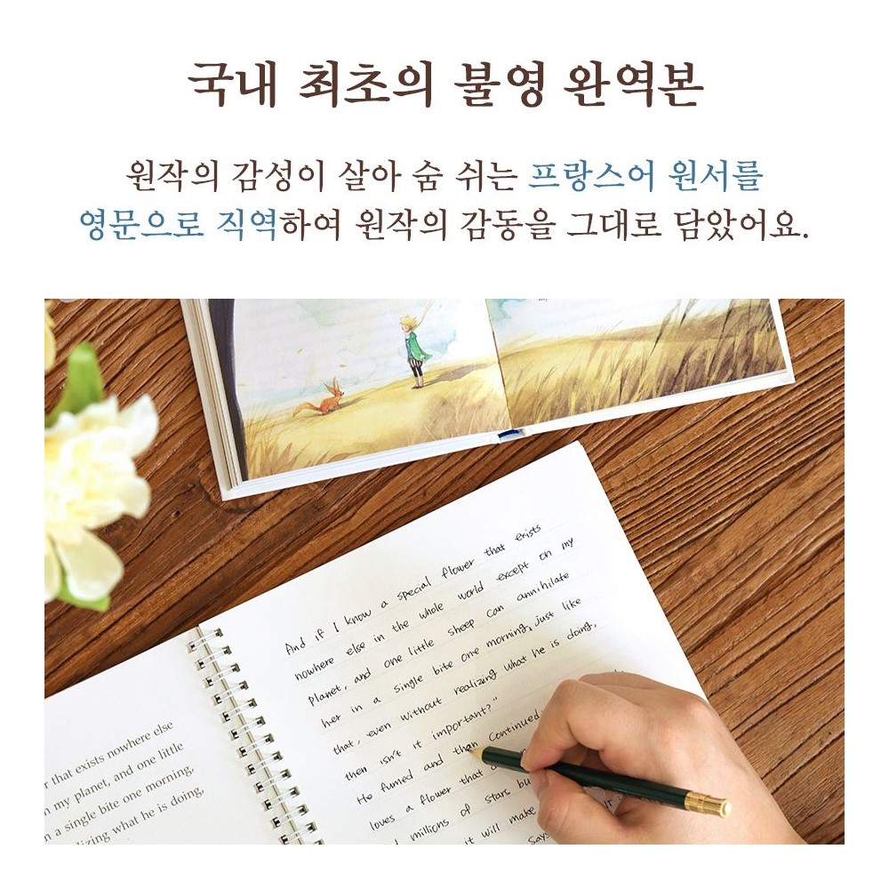 영문 필사 어린왕자 영어 문장 따라쓰기 어른 학습지 선물 - 상세 이미지 5