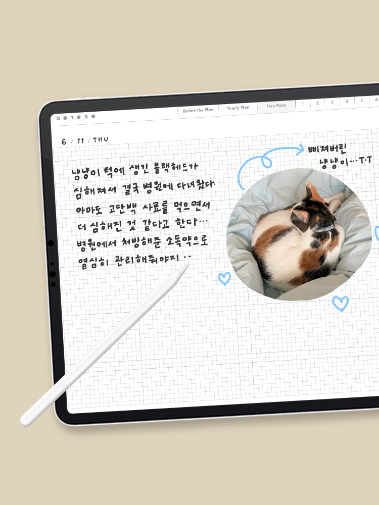 1분발송 리훈 두투두 위클리 플래너 체크리스트 다이어리 굿노트 아이패드 PDF 속지 상품 이미지