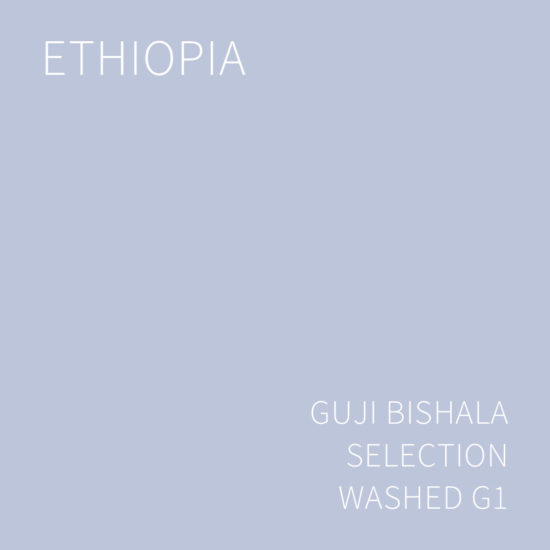 에티오피아 구지 비샬라 셀렉션 #1 워시드 G1 1KG (ETHIOPIA GUJI BISHALA SELECTION #1 WASHED)