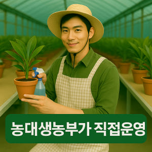 초설 넝쿨 덩굴 마삭줄 키우기 실내공기정화식물 오색마삭줄 야생화 정원식물 실사용 후기 | 효과 있을까? - 상품 이미지 4