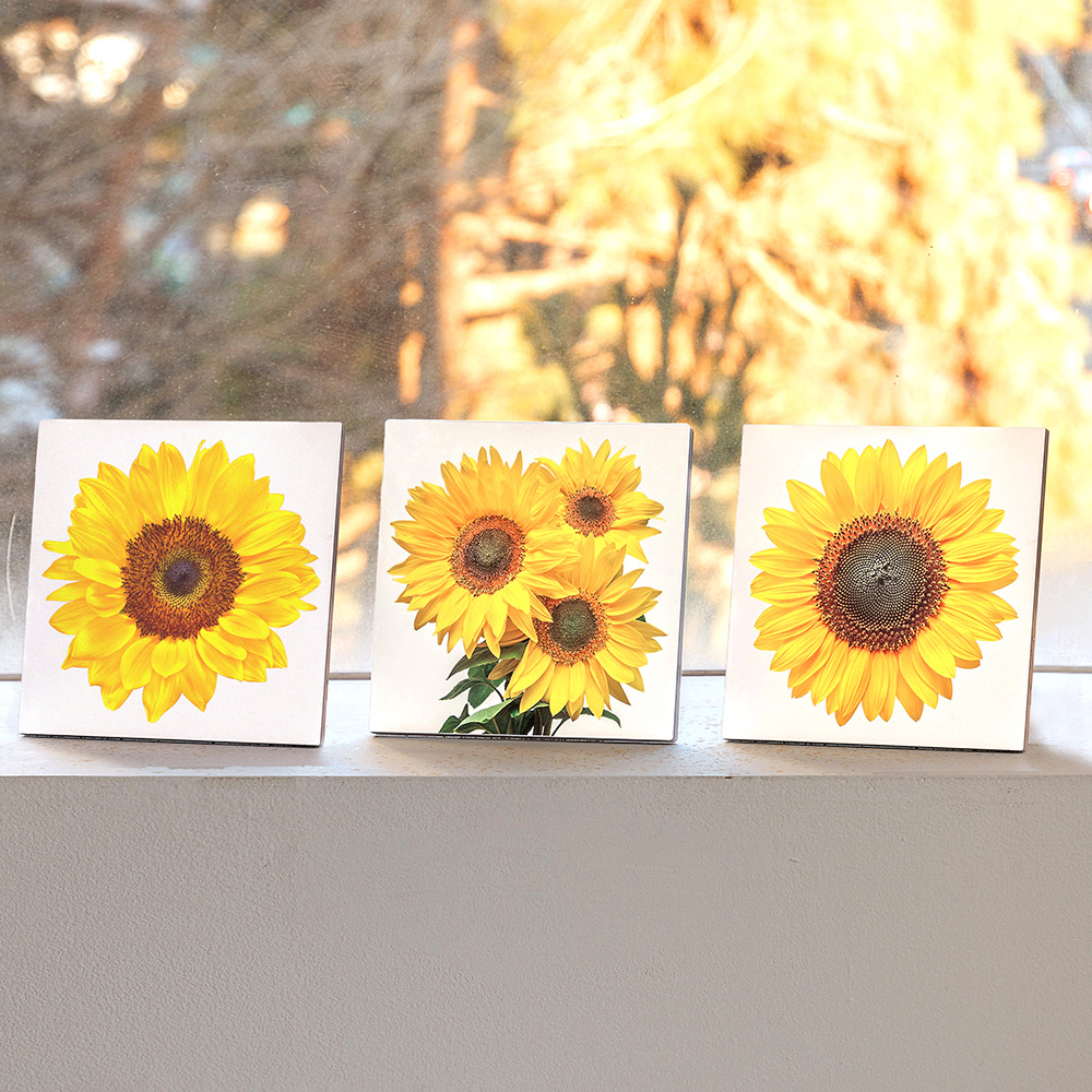 황금 해바라기그림액자 돈들어오는 그림 거실 풍수액자 소형