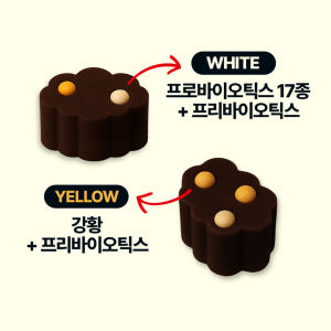 닥터페렌들리 올인맥스브라이트 강아지 눈 영양제 눈물 눈꼽 항산화 간 건강... 솔직 후기 | 실제 사용자 리뷰 총정리 - 상품 이미지 3