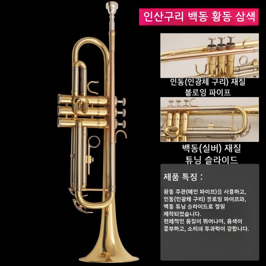초보자 입문용 트럼펫 B플랫 연습용 금관악기 황동 트럼펫 - 상세 이미지 4