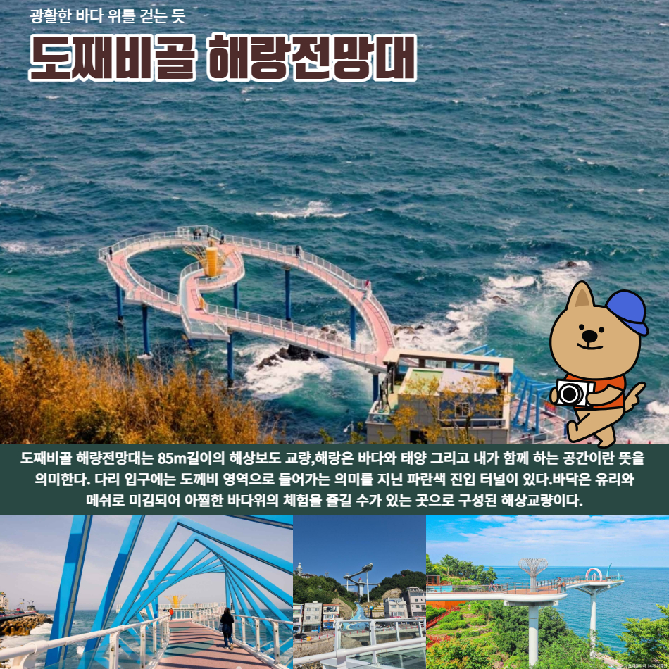 [동해바다] 정동진과 동해 도째비골/스카이 벨리-기차여행 - 상세 이미지 4