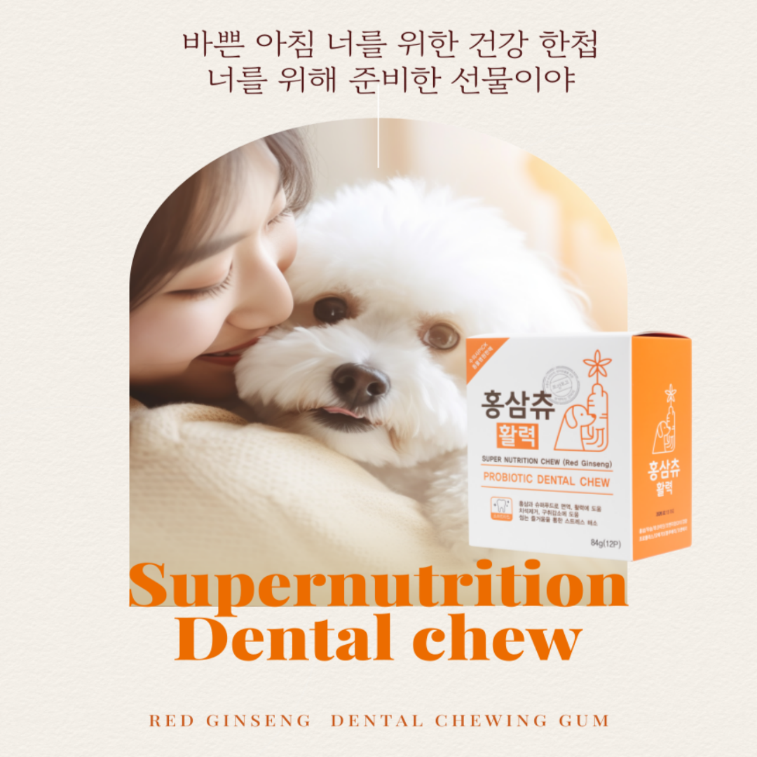 보약먹는 강아지 가수분해껌 치석제거 강아지 양치간식 부드러운 덴탈껌 홍삼츄 1 이미지 8