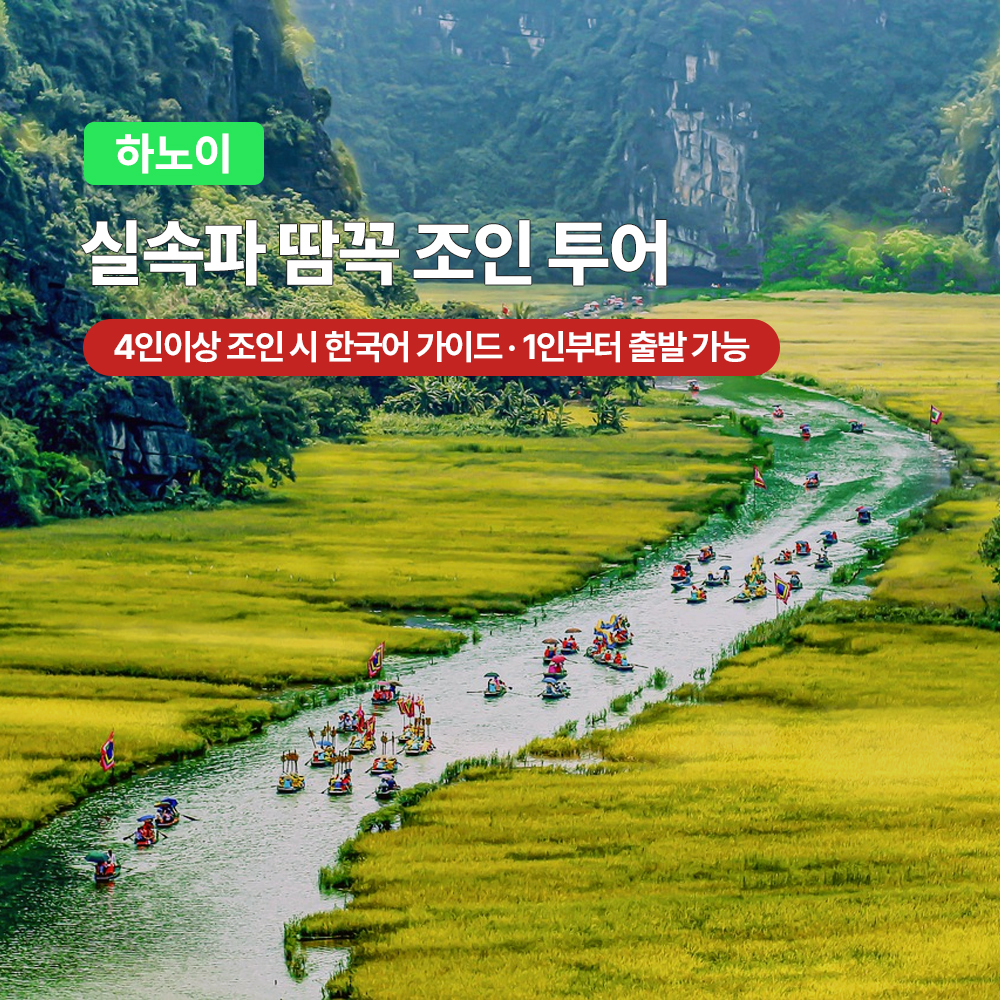 하노이 실속파 닌빈 땀꼭 한국어 / 영어 조인 투어 (항무아 포함)