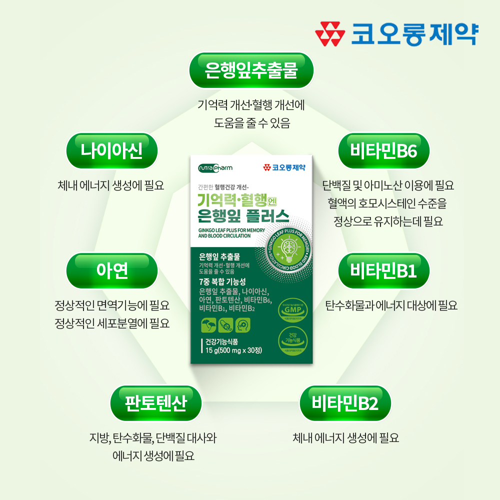 혈액순환 징코플러스 영양제 은행잎추출물 30정, 5개 이미지 3