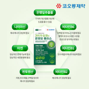 혈액순환 징코플러스 영양제 은행잎추출물 30정, 5개 맛있게 먹은 솔직 후기 - 상품 이미지 3