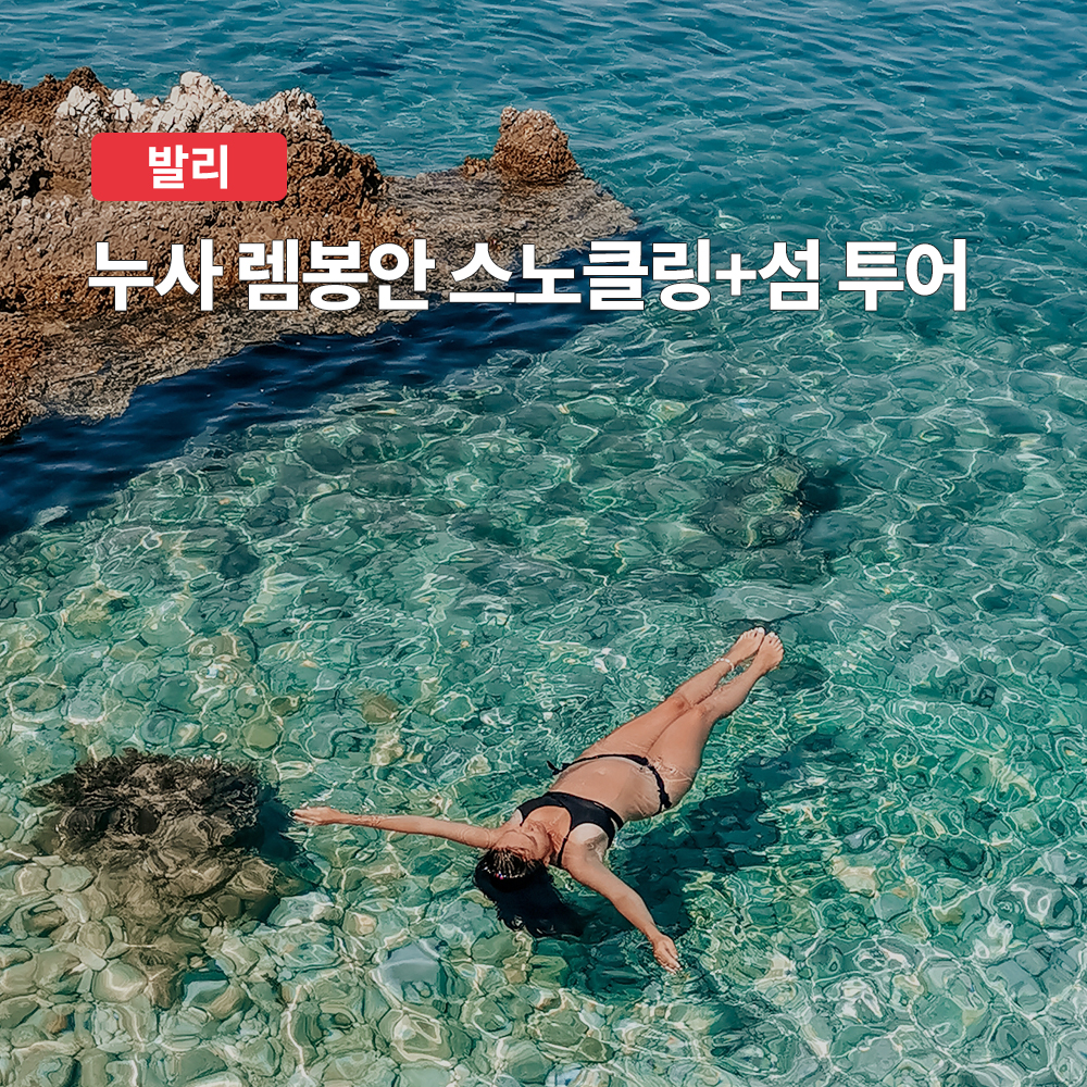 발리 누사 렘봉안 스노클링 섬투어 (조인or단독 보트 선택, 프라이빗 차량 포함)