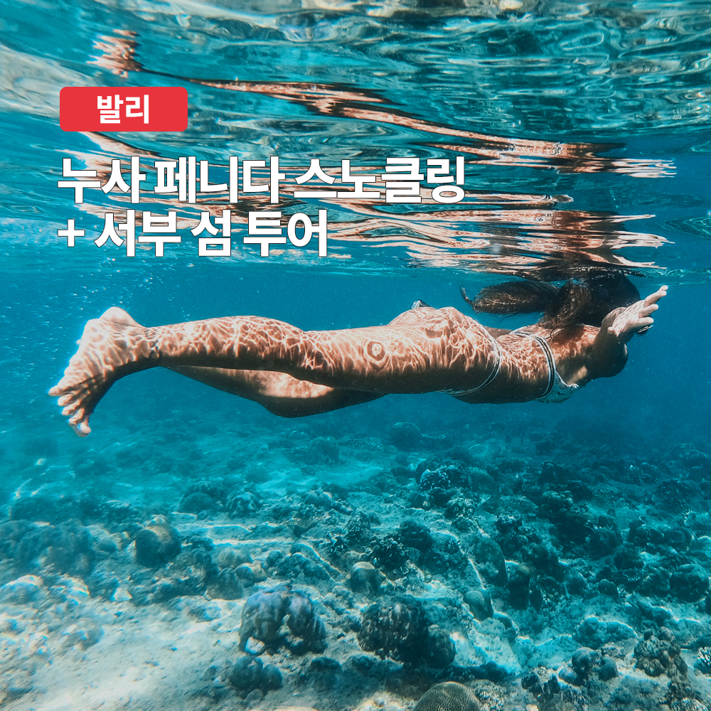 발리 누사페니다 스노클링 서부 섬투어 (조인or단독 보트 선택, 프라이빗 차량 포함)